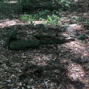 Box Tomb in heavily wooded area